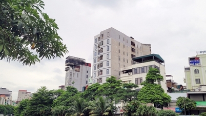 Chặt chẽ quản lý chung cư mini