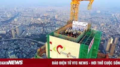 Vì sao Ricons đệ đơn yêu cầu mở thủ tục phá sản với Coteccons?