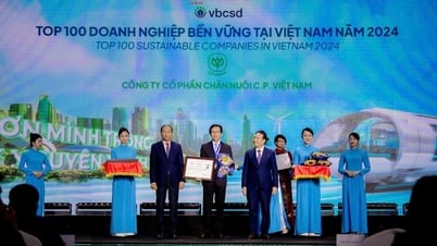 CP Vietnam ទទួលបានពានរង្វាន់ដ៏មានកិត្យានុភាពចំនួនពីរក្នុងពិធីប្រកាសសហគ្រាសនិរន្តរភាពនៅវៀតណាមក្នុងឆ្នាំ 2024
