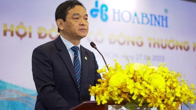 Mr. Le Viet Hai: I don't care how many people are on my side.