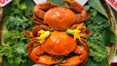 លើកកំពស់ម៉ាកទេសចរណ៍ Ca Mau