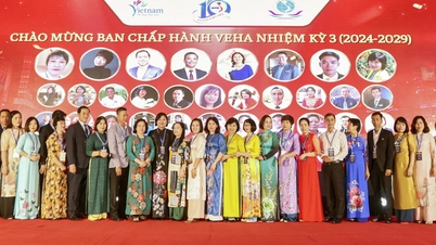 VEHA ជួយកែលម្អគុណភាពនៃធនធានមនុស្សរបស់សណ្ឋាគារ