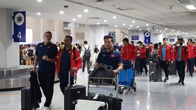 Lịch thi đấu của đội tuyển Việt Nam tại bảng F