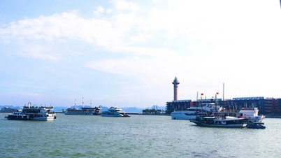 ខេត្ត Quang Ninh ស្តារ​វិស័យ​ទេសចរណ៍​ឡើងវិញ​ក្រោយ​ព្យុះ​លេខ​៣