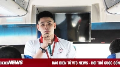 Muốn theo đuổi ngành du lịch, nên theo học trường nào?