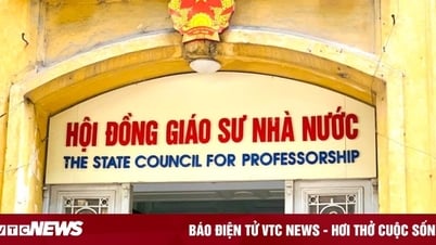 Thêm 15 ứng viên trượt chuẩn chức danh giáo sư, phó giáo sư năm 2024