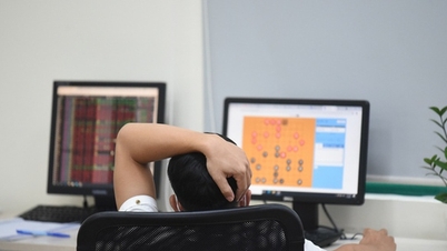 Công ty chứng khoán đồng loạt báo lãi giảm thê thảm