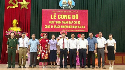 Hưng Yên đẩy mạnh phát triển đảng trong các đơn vị kinh tế tư nhân