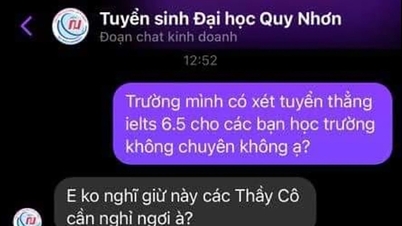 Quy Nhon University 팬페이지에서 사과문을 보낸 이유는 무엇입니까?