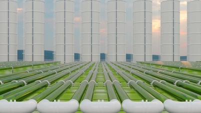 Nhà máy đầu tiên kết hợp thu giữ carbon và lọc nước mặn