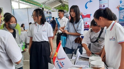 16 doanh nghiệp giới thiệu cơ hội việc làm cho sinh viên ngành chăn nuôi thú y