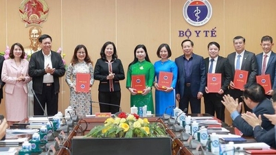 Bộ Y tế điều động, bổ nhiệm nhiều lãnh đạo Vụ, Cục