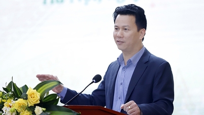 Bộ TN&amp;amp;amp;MT đốc thúc cấp sổ đỏ cho đất không giấy tờ