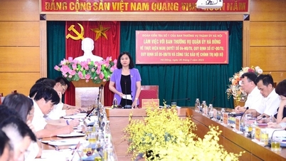 Năm 2023, 35 cán bộ diện Ban Thường vụ Quận ủy Hà Đông quản lý phải chuyển đổi vị trí công tác
