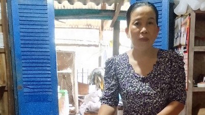 Cho heo ăn bỗng rượu-hèm rượu nếp than, heo trơn lông đỏ da, chị nông dân Sóc Trăng khá giả