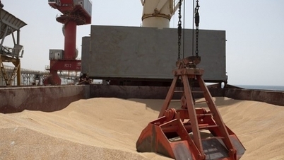 Nga nêu lập trường về gia hạn thỏa thuận ngũ cốc, hoàn toàn khác tuyên bố của Thổ Nhĩ Kỳ