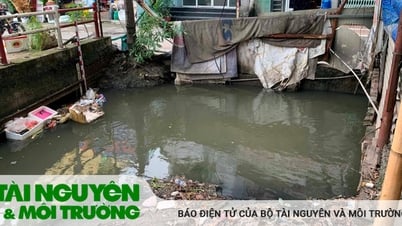 ទន្លេ Cau Da មានការបំពុលកាន់តែខ្លាំង និងមានគ្រោះថ្នាក់ដែលមិនអាចទាយទុកជាមុនបាន។