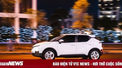 Taxi business people choose electric cars as the optimal profit solution