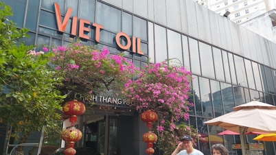 Vì sao 'ông lớn' xăng dầu được nợ hàng nghìn tỷ đồng tiền thuế?