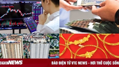 Năm 2024 nên bỏ tiền vào 'giỏ' nào?