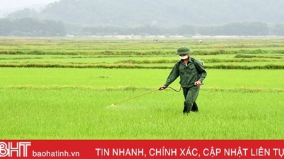 สร้างความก้าวหน้าให้กับทุ่ง Loc Ha