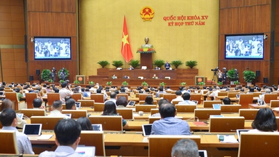 Press Release No. 11, 5th Session, 15th National Assembly
