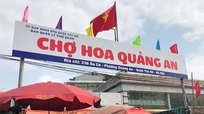 ហាណូយ៖ កន្លែងលេងល្បែងស៊ីសងត្រូវបានចាប់ខ្លួននៅផ្សារផ្កា Quang An