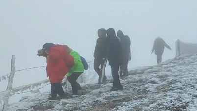 Frost covers Mau Son peak, people flock to hunt for snow