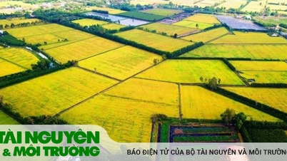 Thành lập 2 Hội đồng điều phối vùng