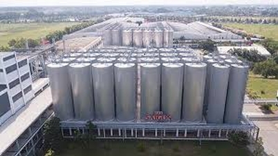 2024年第2四半期の収益は横ばいだが、ビール大手サベコ（SAB）の利益は依然として増加している