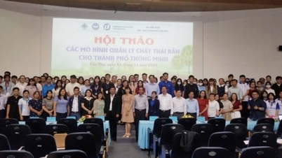 Thúc đẩy mô hình thành phố thông minh thích ứng biến đổi khí hậu tại Cần Thơ