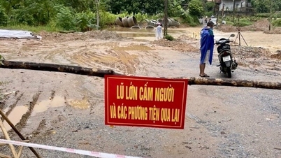 Bộ NN&PTNT chỉ đạo ứng phó khẩn cấp với mưa lũ ở Bắc Bộ