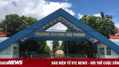 សាស្ត្រាចារ្យសាកលវិទ្យាល័យ Hai Phong រងការចោទប្រកាន់ពីបទបៀតបៀនផ្លូវភេទនិស្សិតស្រី៖ ព័ត៌មានចុងក្រោយ