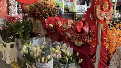 Warm Vietnamese Tet in a foreign land