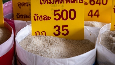 อุปทานข้าวตกต่ำ ไทยเล็งลดการปลูกข้าว
