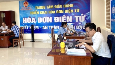 ឧស្សាហកម្មពន្ធ Binh Dinh 'ពិន្ទុ' ជាមួយនឹងការគាំទ្រតាមអ៊ីនធឺណិត 24/7