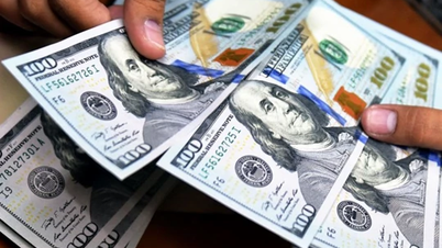 Tỷ giá ngoại tệ ngày 14/1/2025: Đồng USD và NDT tăng trở lại