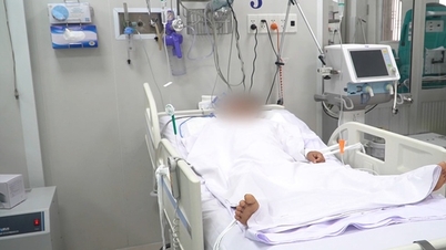 Thêm 1 người tử vong trong vụ gia đình ngộ độc sau bữa ăn nấm xào mướp