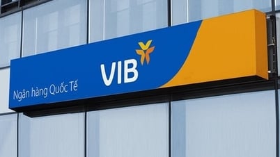 VIB កត់ត្រាប្រាក់ចំណេញ 9 ខែចំនួន 6.600 ពាន់លានដុង កំណើនឥណទាន 12%