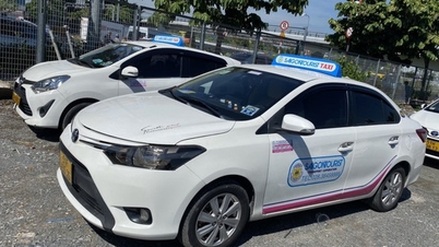 Cảng HKQT Tân Sơn Nhất nhờ “hỗ trợ” xử lý taxi gian lận cước