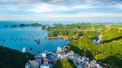 Singaporean expert gives advice for Vietnamese tourism