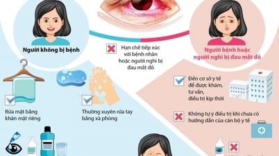 Đau mắt đỏ, sốt xuất huyết đang vào mùa