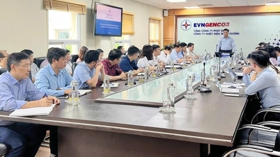 Power Generation Corporation 3 inspects Mong Duong Thermal Power Plant after storm No. 3