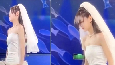 Giữa hôn lễ, mẹ chồng lên phát biểu, cô dâu cởi váy cưới, lập tức từ hôn