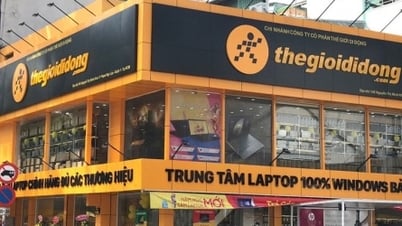 Mobile World គ្រោងនឹងចេញភាគហ៊ុន ESOP មិនលើសពី 2%