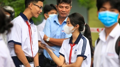 Đã có điểm thi lớp 10 TP.HCM, bạn đọc tra cứu ngay trên Báo Thanh Niên