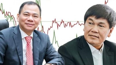 Billionaire Tran Dinh Long's Hoa Phat jumps, capitalization surpasses Vingroup