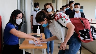 Los ingresos de los trabajadores vietnamitas en Corea son... 10 veces más altos que los salarios de los trabajadores domésticos