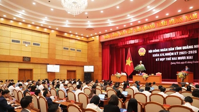 ខេត្ត Quang Ninh ទាមទារយកដីសម្រាប់គម្រោងចំនួន ៣០ ដែលមានផ្ទៃដីជាង ៨០ ហិកតា