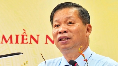 Southern Fertilizer verfolgt weiterhin das Ziel, „vietnamesische Agrarprodukte aufzuwerten“